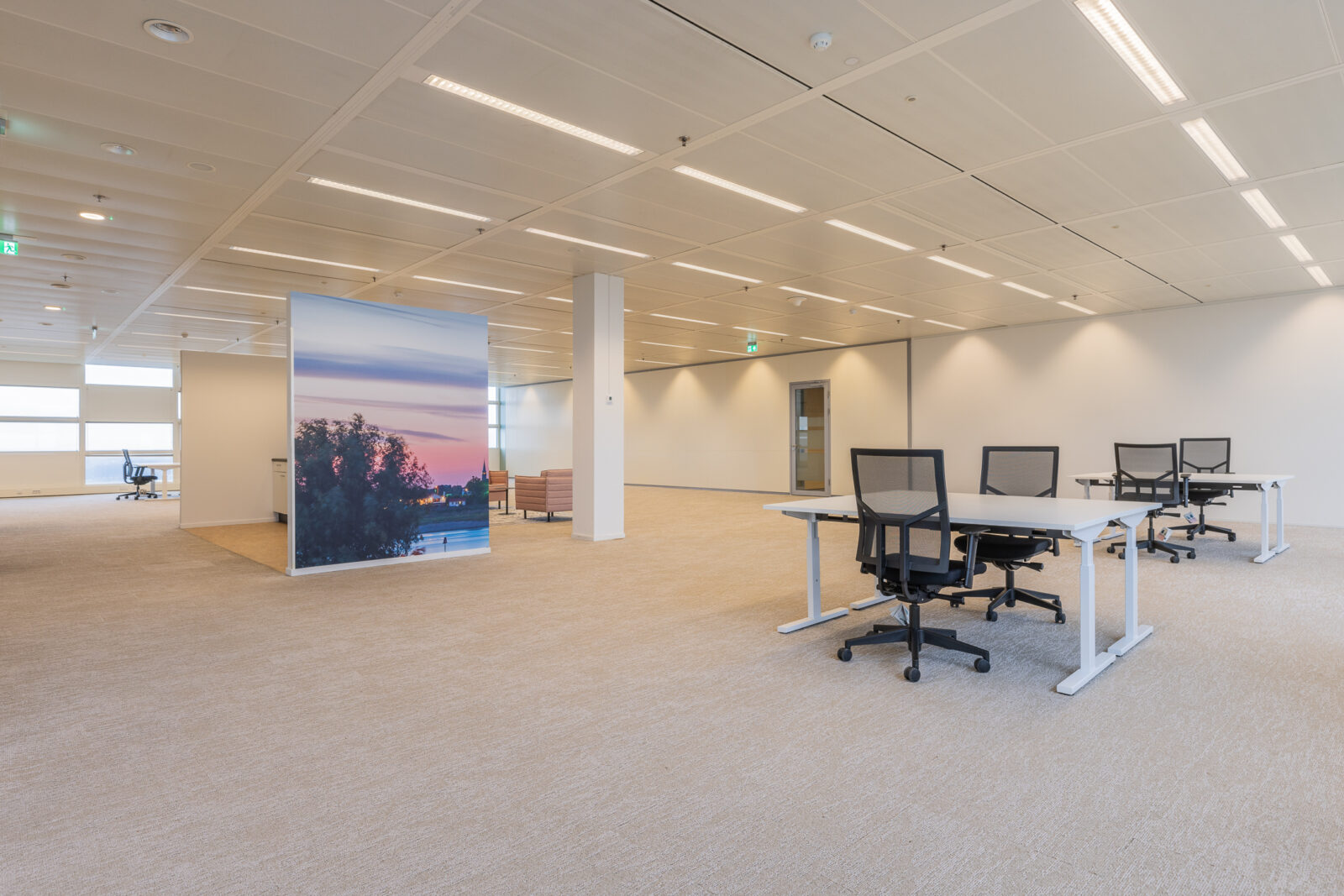 Bright open office space at Kadans Science Partner with adjustable desks, ergonomic chairs, and a large landscape mural.