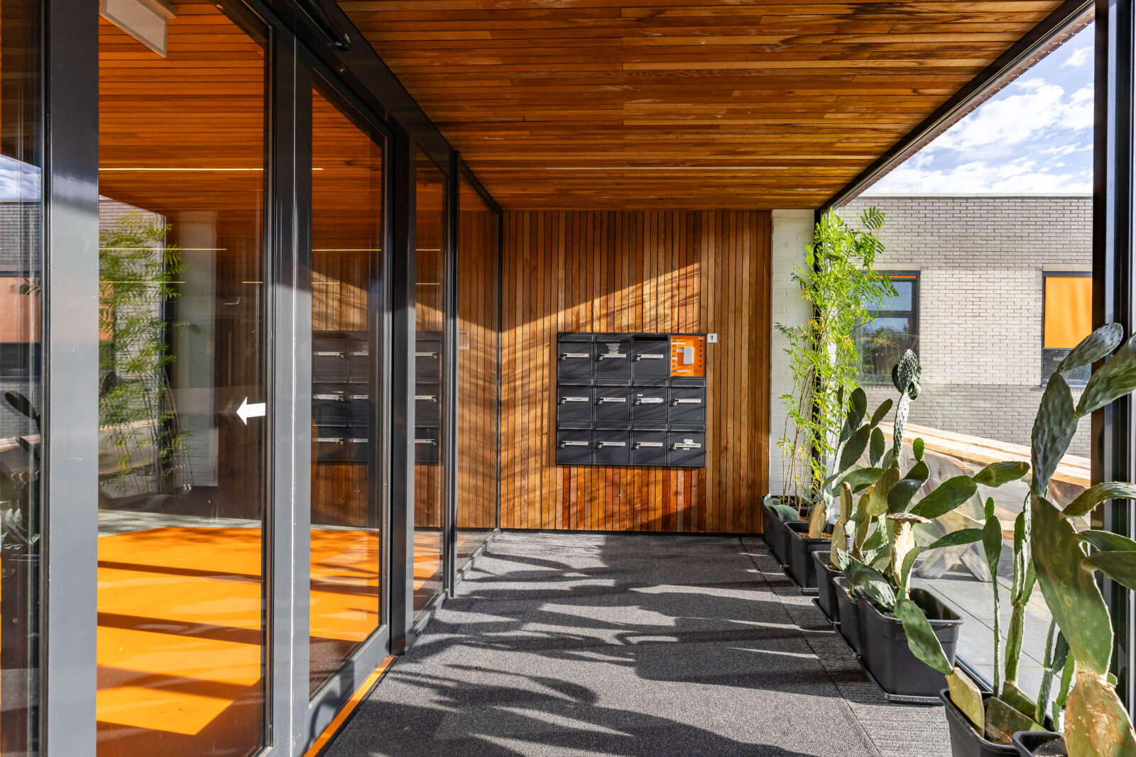 Entrance area at Zernike Campus with glass walls, wooden facade and plants